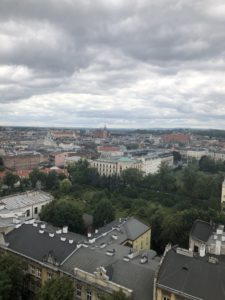 Krakow Wawel City View