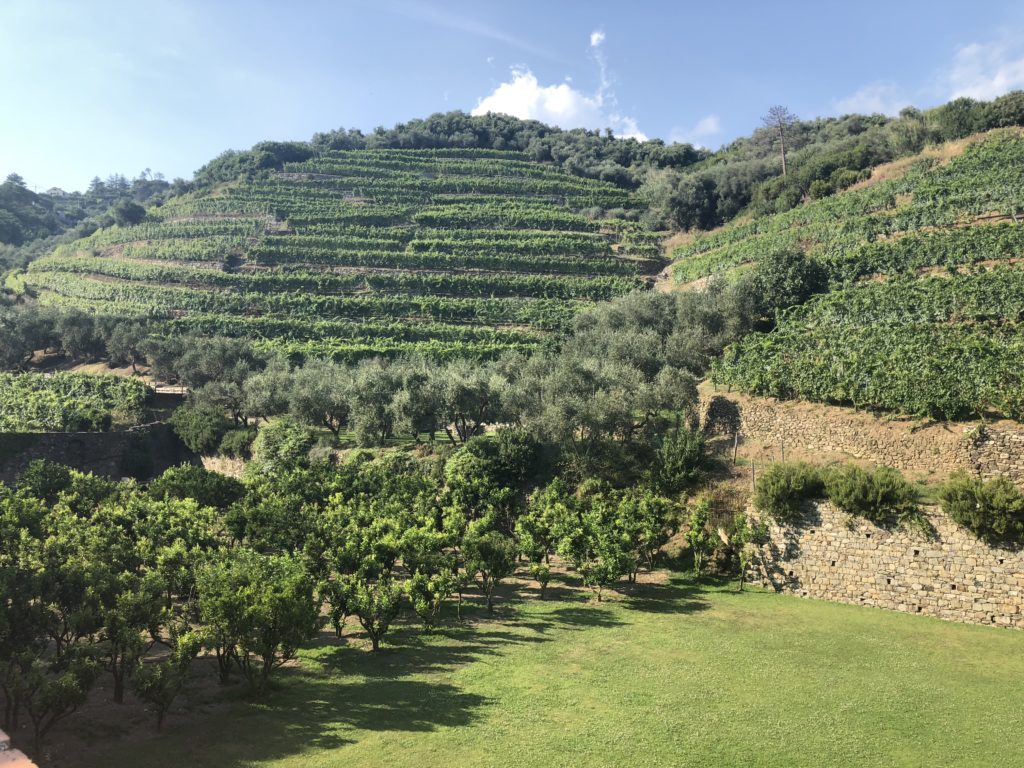 Views from Buranco Monterosso 2