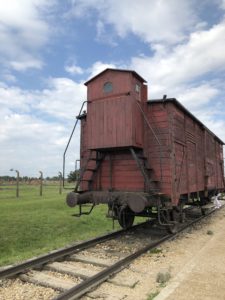 Auschwitz- Poland