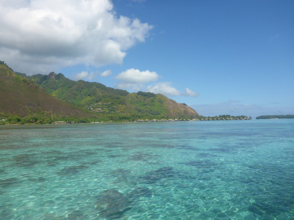 Opunohu Bay- Moorea